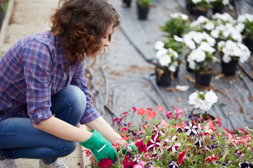 Gardeners Greenwich team assessing a residential garden before work
