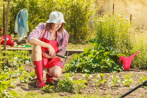 Sustainable gardening practices by Greenwich professionals
